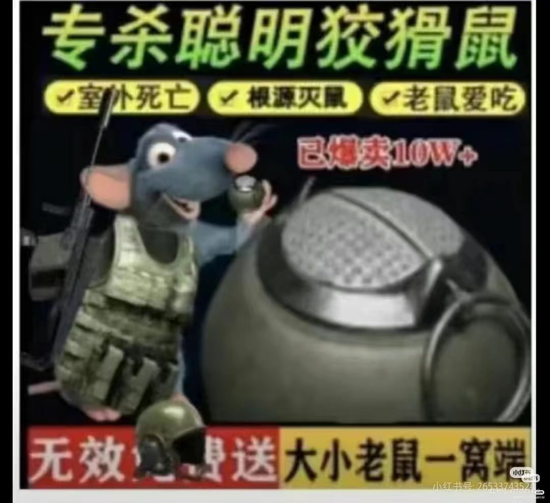 来了来了