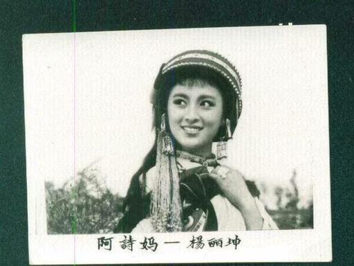 1973年，上海高材生唐凤楼娶了精神失常的“阿诗玛”杨丽坤，同床共枕27年，男人