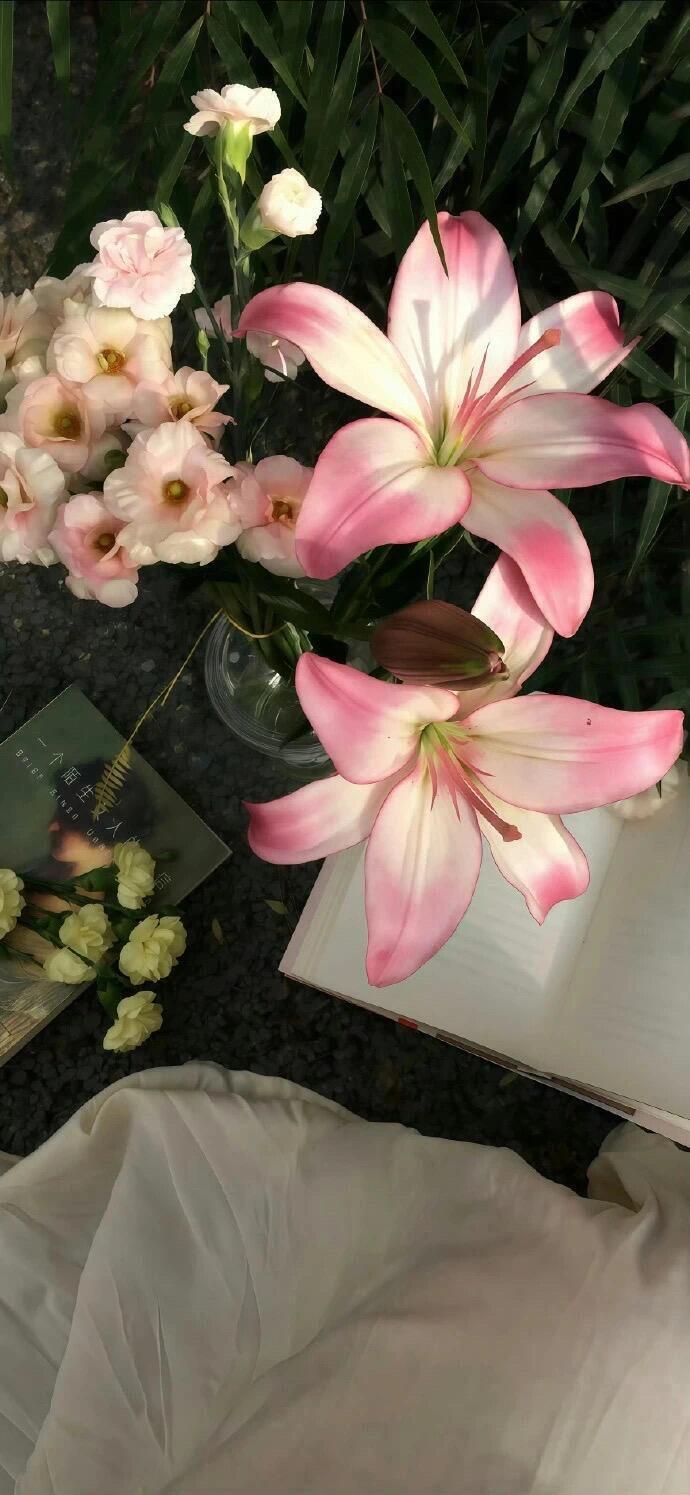 春夏限定手机壁纸