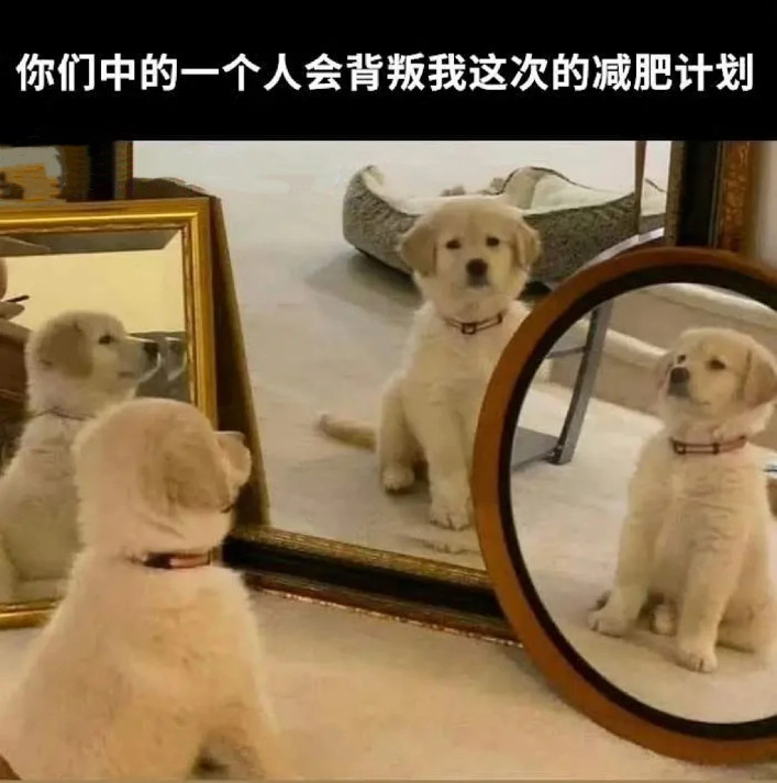 我的减肥现状是靠呼吸减肥​​​