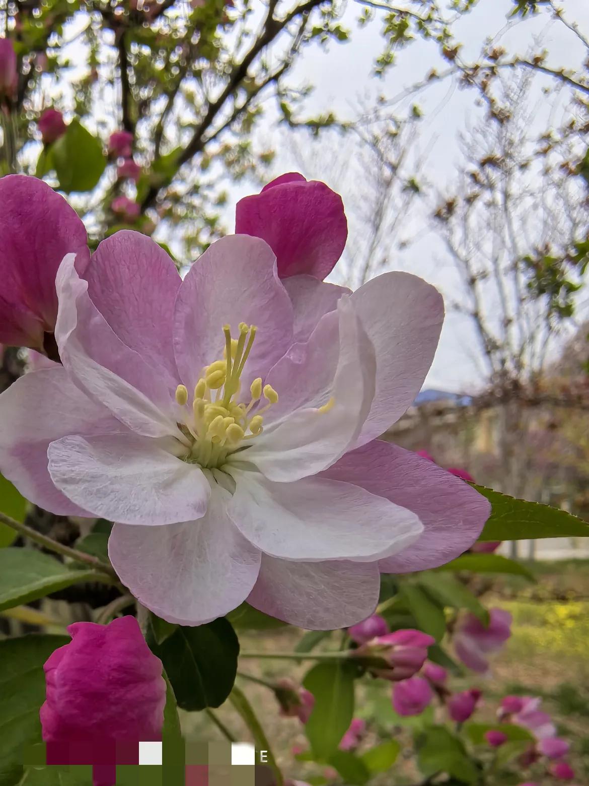 今天给大伙唠几个超逗得谐音梗问答，保证让你笑到停不下来，第一个问题啊，为什么要戴