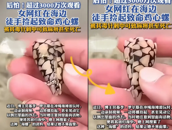 真得给大家提个醒！有个女网红在海边游玩，徒手就捡起个漂亮海螺，还晃悠着倒里面的
