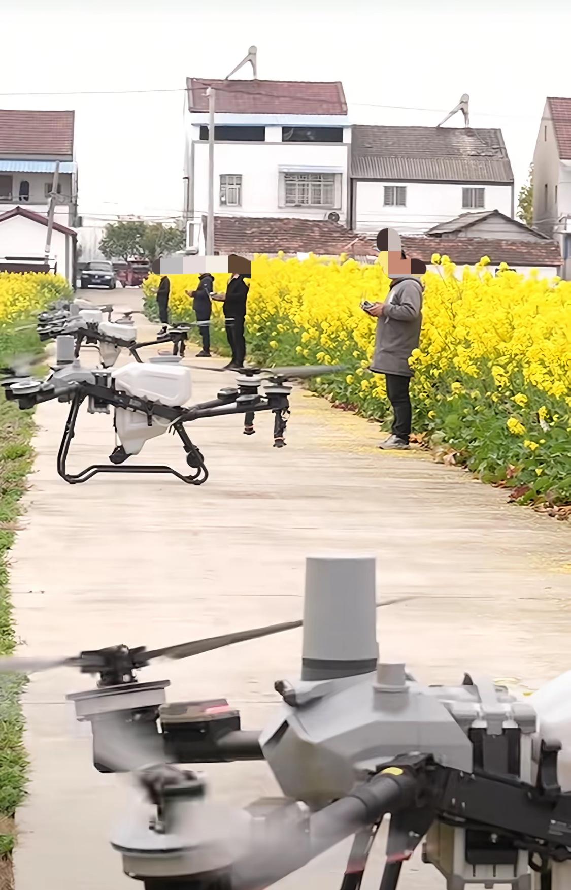 太可怕了吧!油菜花开花期间打药，无人机打药，白天不让打，晚上还偷摸着打，到底