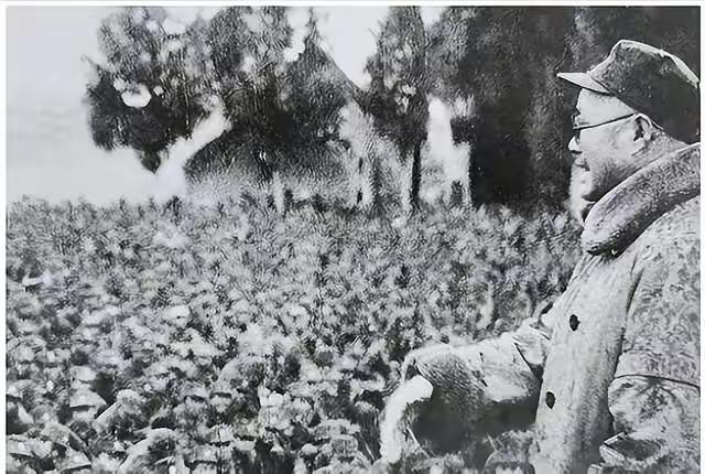 陈毅来到中原军区后，成为刘伯承的副手。可每次开会，刘伯承总是谦虚地说，请陈老总先