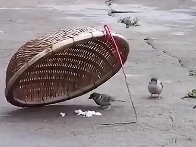 跟国际资本跑的，迟早死在懂W手里。一时赚的钱不作数，只要你还在玩，迟早得还回去，