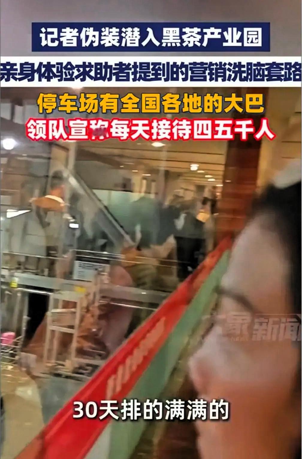 刚看了记者卧底黑茶产业园的新闻，每天拉来4，5千人，真是触目惊心。运作模式存