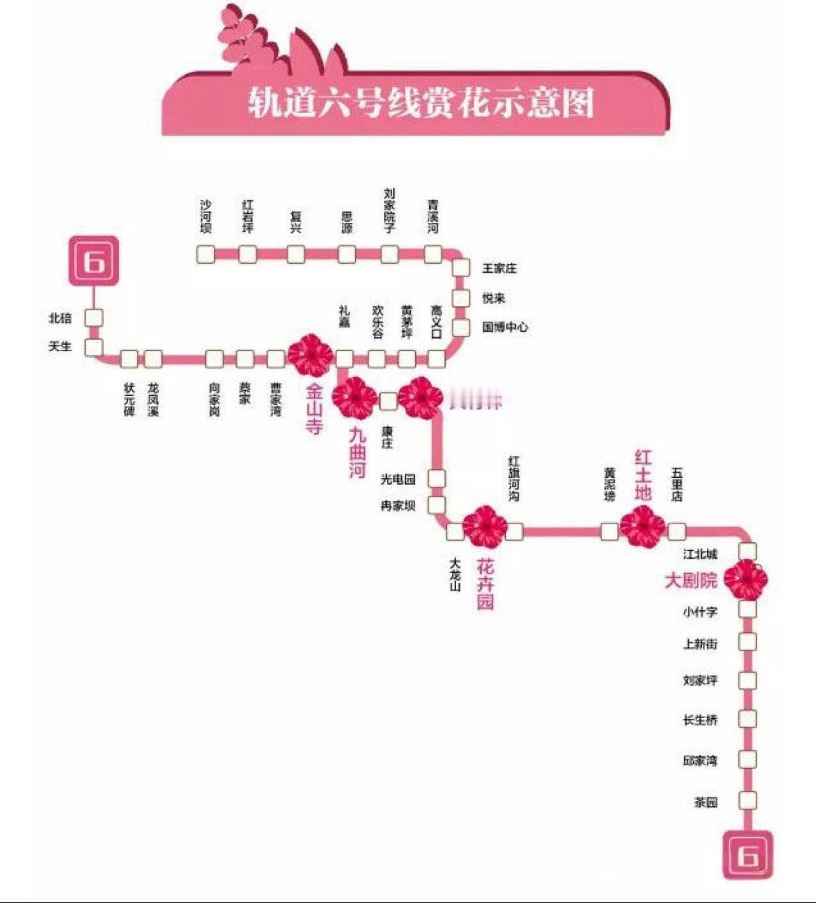 重庆地铁6号线堪称“客流王”！它是重庆地铁网络中客流量最大的线路之一，北碚站