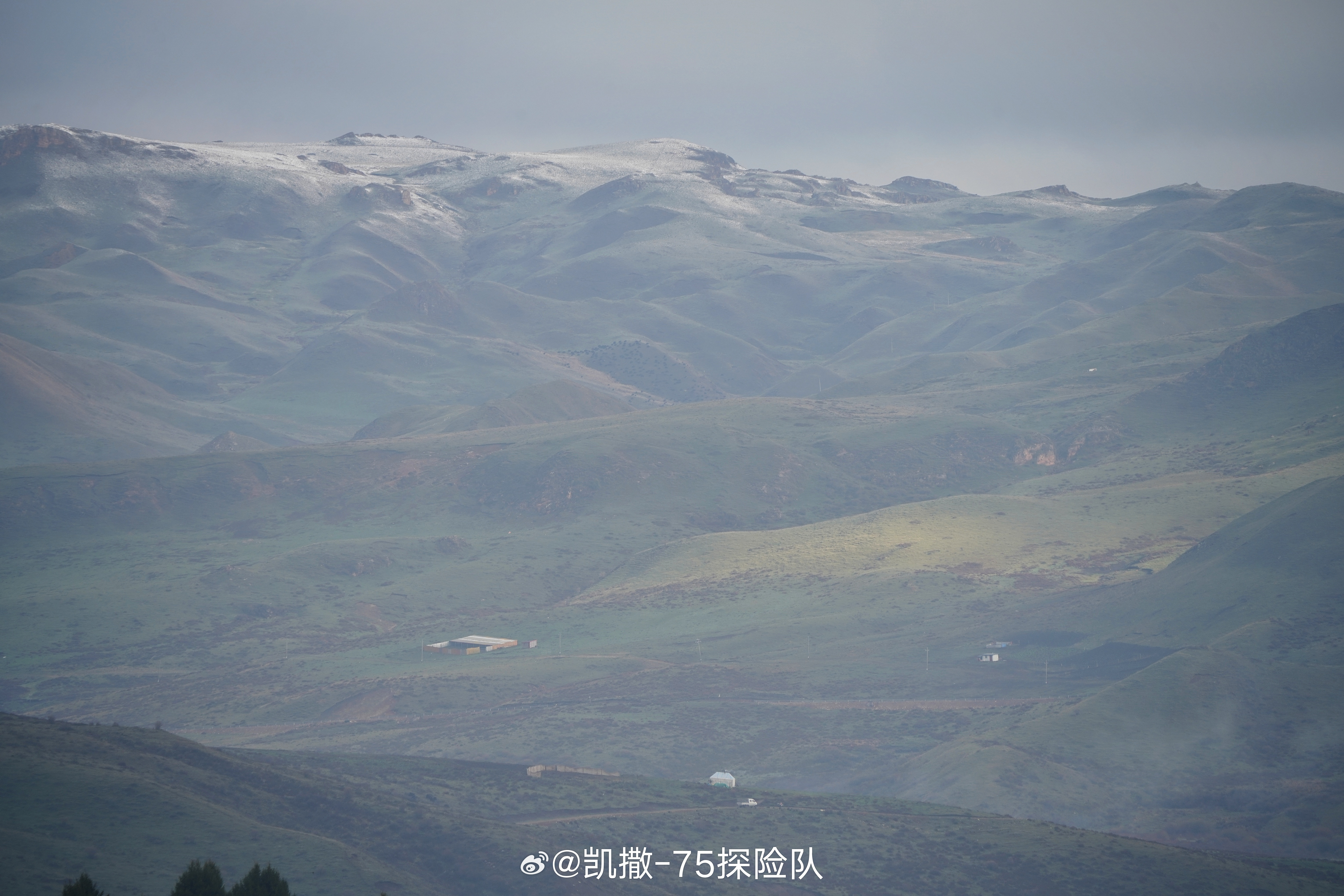 再近一点。玉树