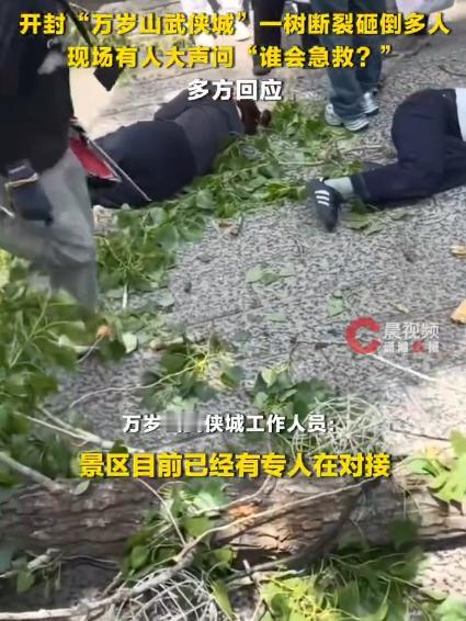 【开封万岁山一棵树断裂砸倒多名游客】4月18日，河南开封万岁山武侠城景区内一棵树