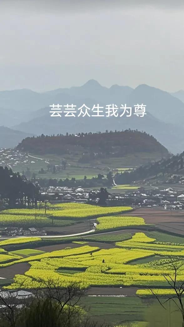 风水玄学风水宝地什么是风水