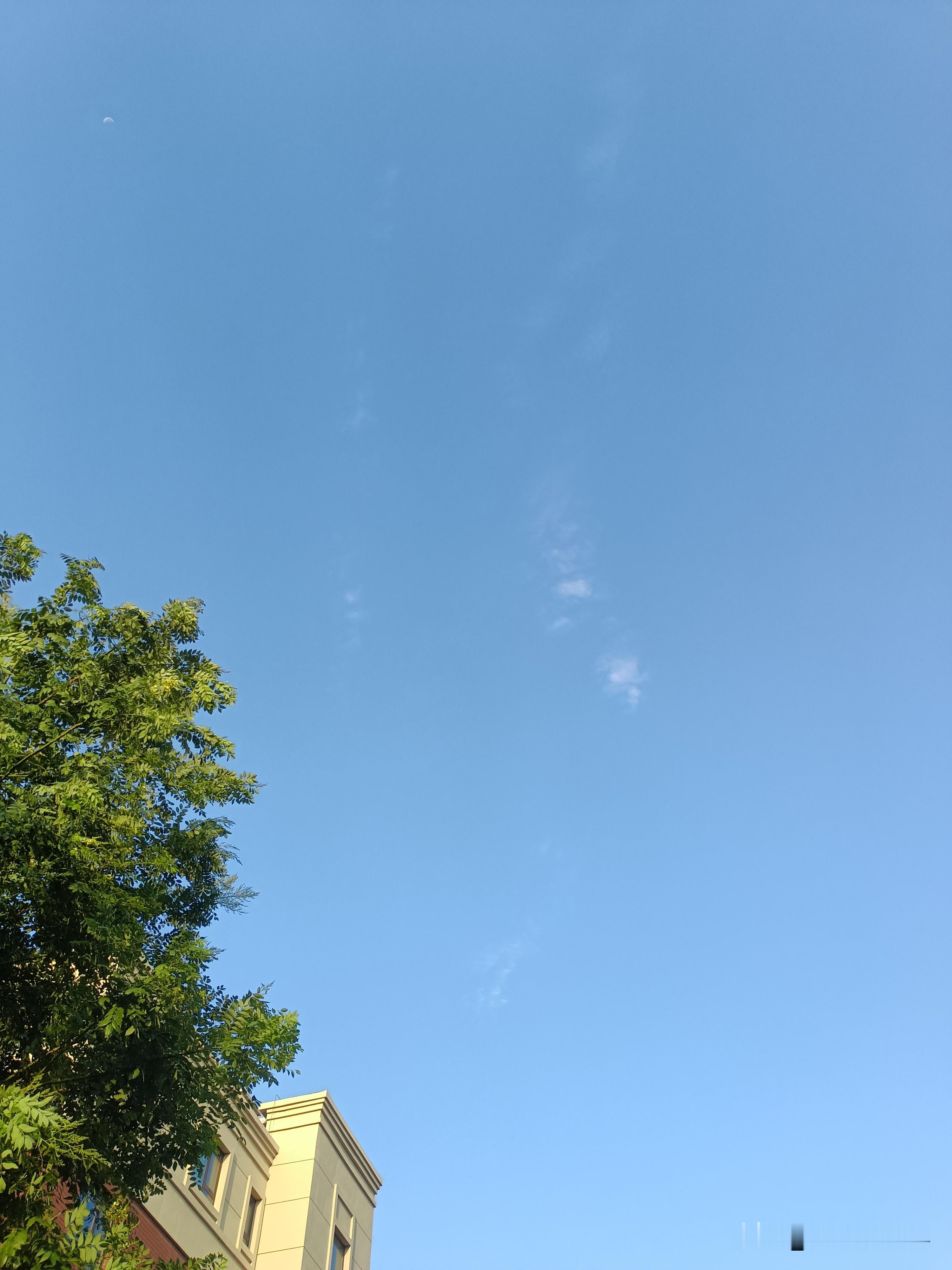长沙这事儿看得人血压飙升！近日某商场地下车库，一男子带4岁女儿准备用餐时，一辆违停车辆突然倒车，父女