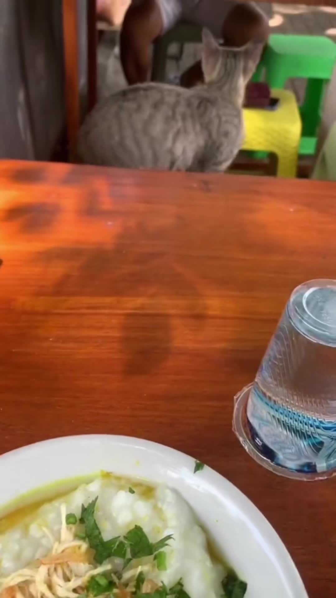 不理解，但尊重🫡