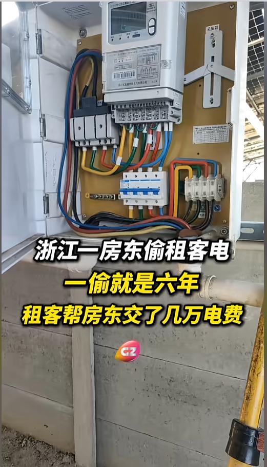 “离了个大谱！”近日，浙江海宁，一女子突然发现，自家电表上竟接上了其他家的线，还