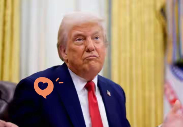 快讯！快讯！特朗普今天（北京时间11月6日）表示：“我很高兴地报告，如今，美国