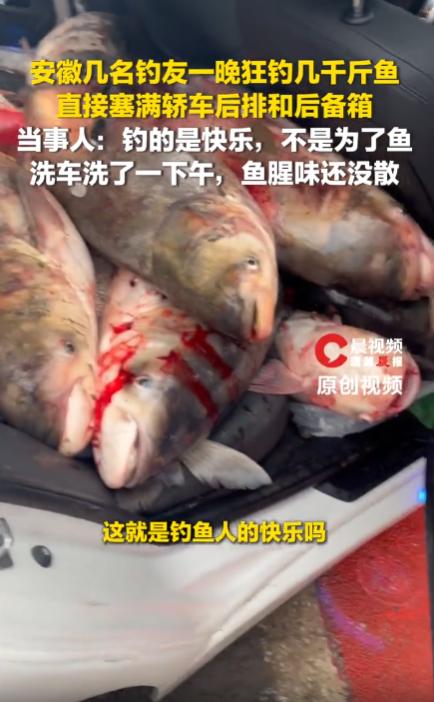 江苏常州，几名钓友自驾夜钓，一夜之间竟狂拉数千斤鲢鳙，鱼多到将轿车后排与后备箱塞