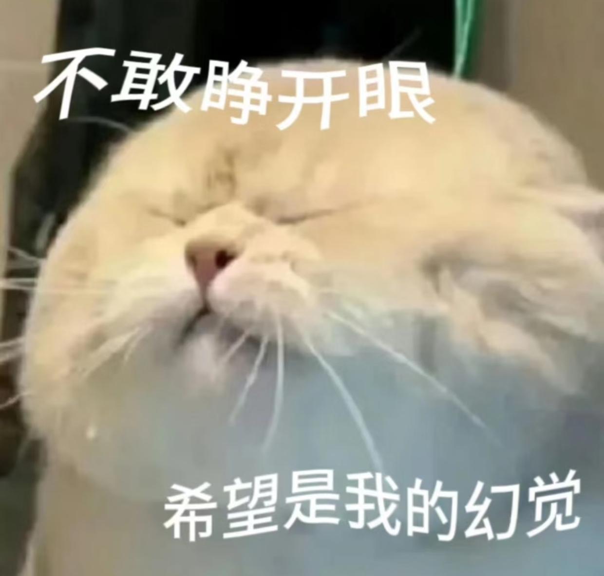 听说大龄剩女有四大幻觉，有多少人全中了！觉得只要自己想嫁，马上就能步入婚姻殿