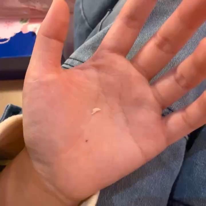 现在长大啦🌟 坏小咪 拿我手当磨牙棒 礼物我收下了