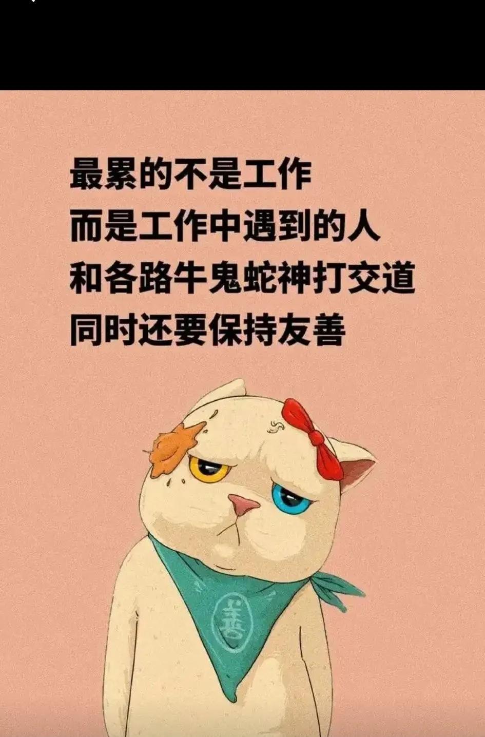 怎么感觉说的很有道理！