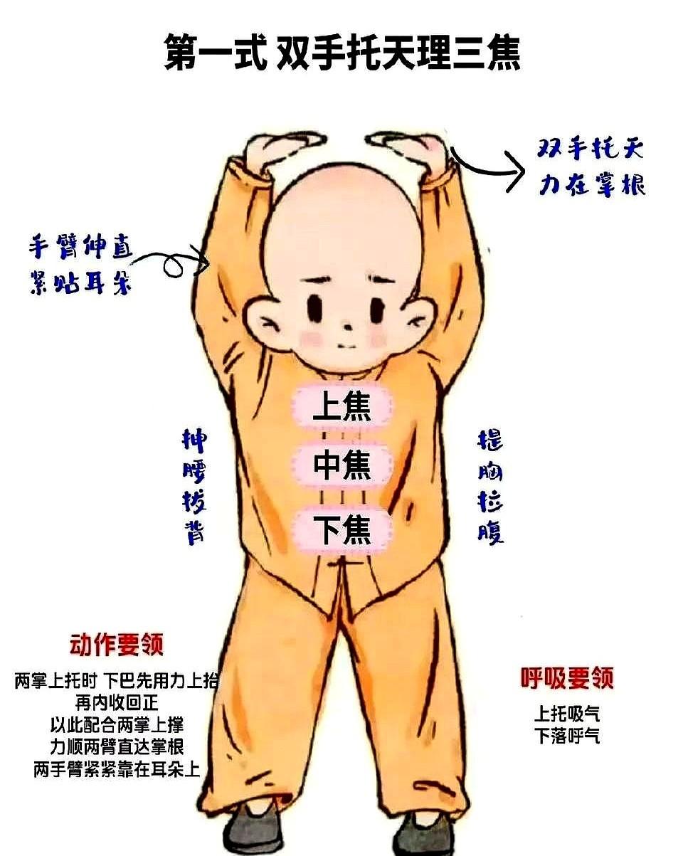 “老李,胳膊贴耳!贴耳!”晨练队长吼得比鸟叫还响,老李憋得脸红,肩袖旧伤像被