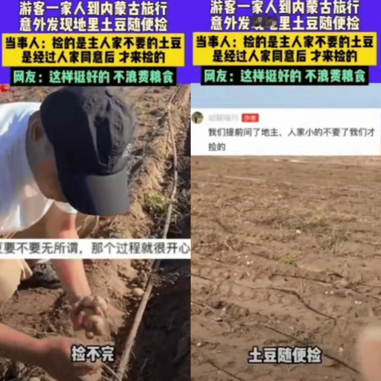 在内蒙古的一家三口，开着车环游东方大国，途经一个农户的地边，看到路边有很多小土豆