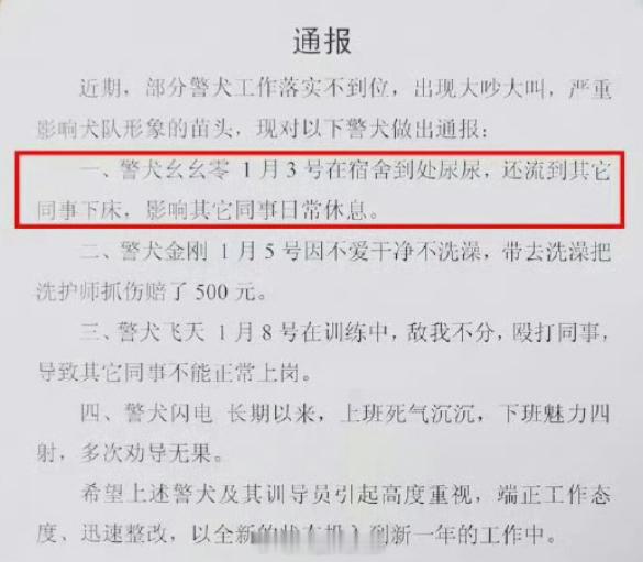 警犬在战友床上尿尿连续4周被通报笑死了，幺幺零”这只警犬，不仅活泼好动，还时常