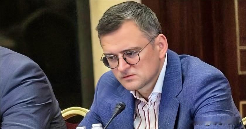 必须接受这样一个现实，乌克兰实现和平或只有牺牲顿巴斯领土。近日，乌克兰前外交部长