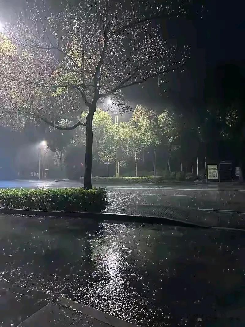 成都这雨下得够烦人的？又是一天两夜的雨了，气象预报还播说，本轮降雨还要持续到