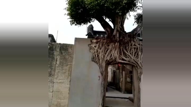 楼层风水与属相买楼十八看(下)标清_土豆视频