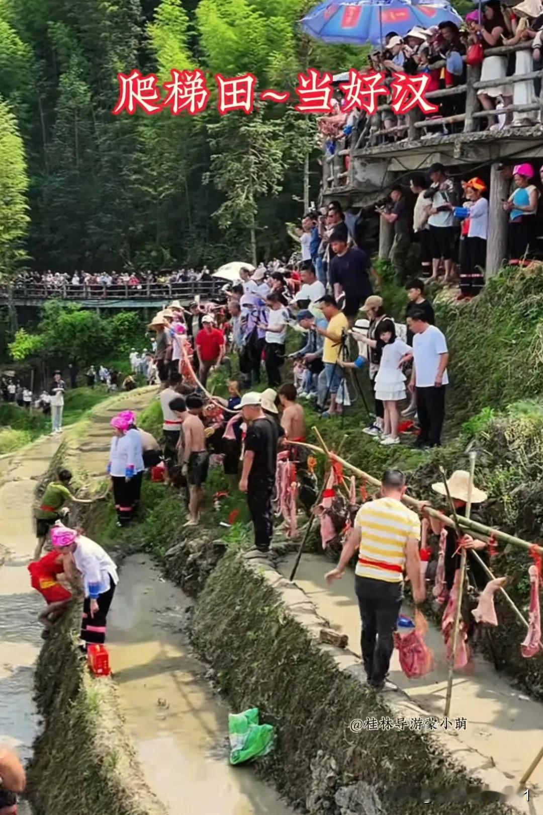 广西桂林龙脊梯田比赛作弊事件引发网友热议是合理的，以下是对此事的看法：从比
