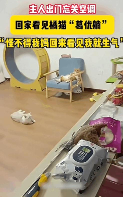 日子怎么可能跟谁给过都一样！山东，女子早上上班太着急忘记关空调了，晚上下班回家后
