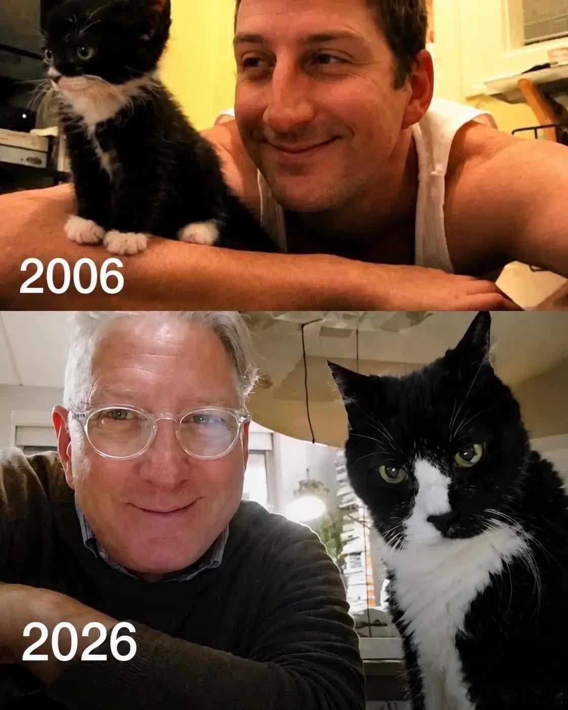 二十年，是小猫完整的一生。也是主人半段温柔岁月史蒂夫从2006年抱回小小的燕尾服