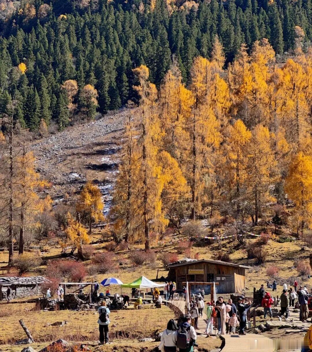 一张机票能打开多少个世界飞悦卓越的假期旅行川西，藏着一场盛大的秋日童话，曲美措