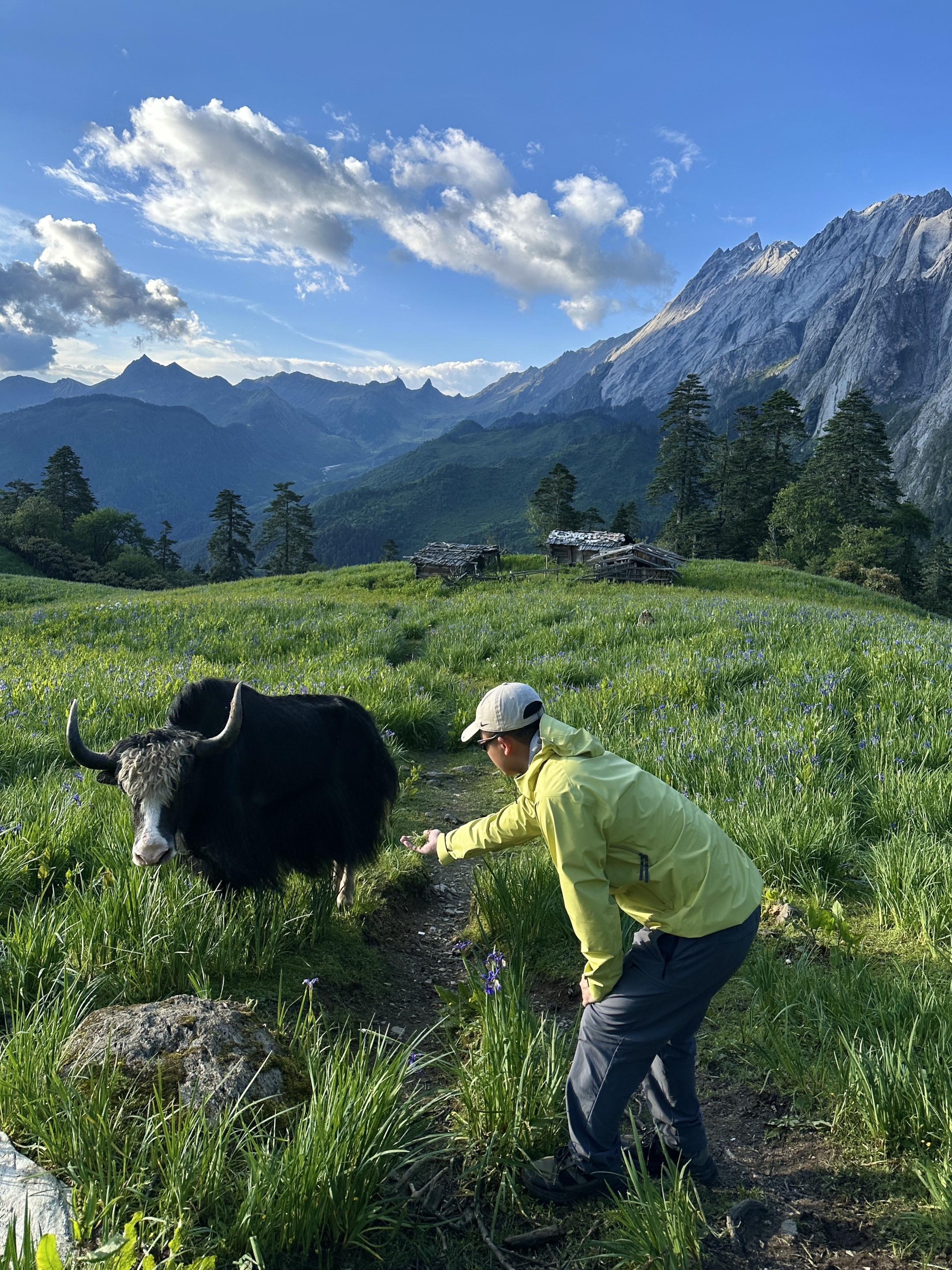 未知的旅途里，总能给我带来意想不到的惊喜。