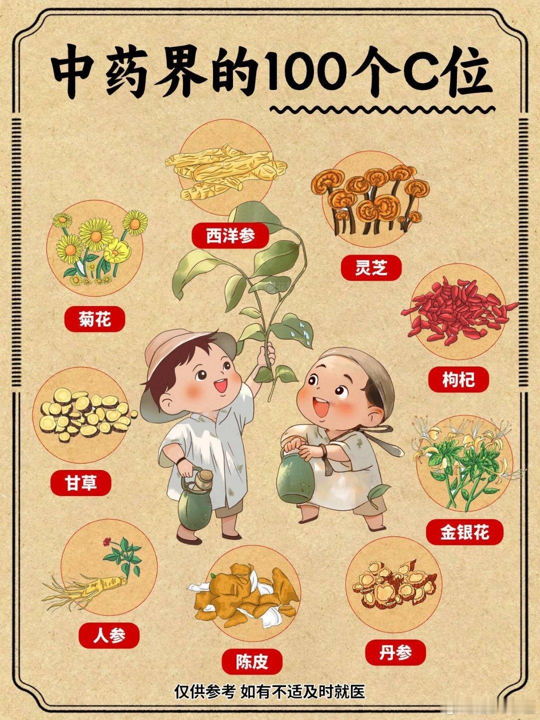 中药界的100个C位中医食疗，注重的是药食同源，平衡脏腑。而食疗食材，正是中医食