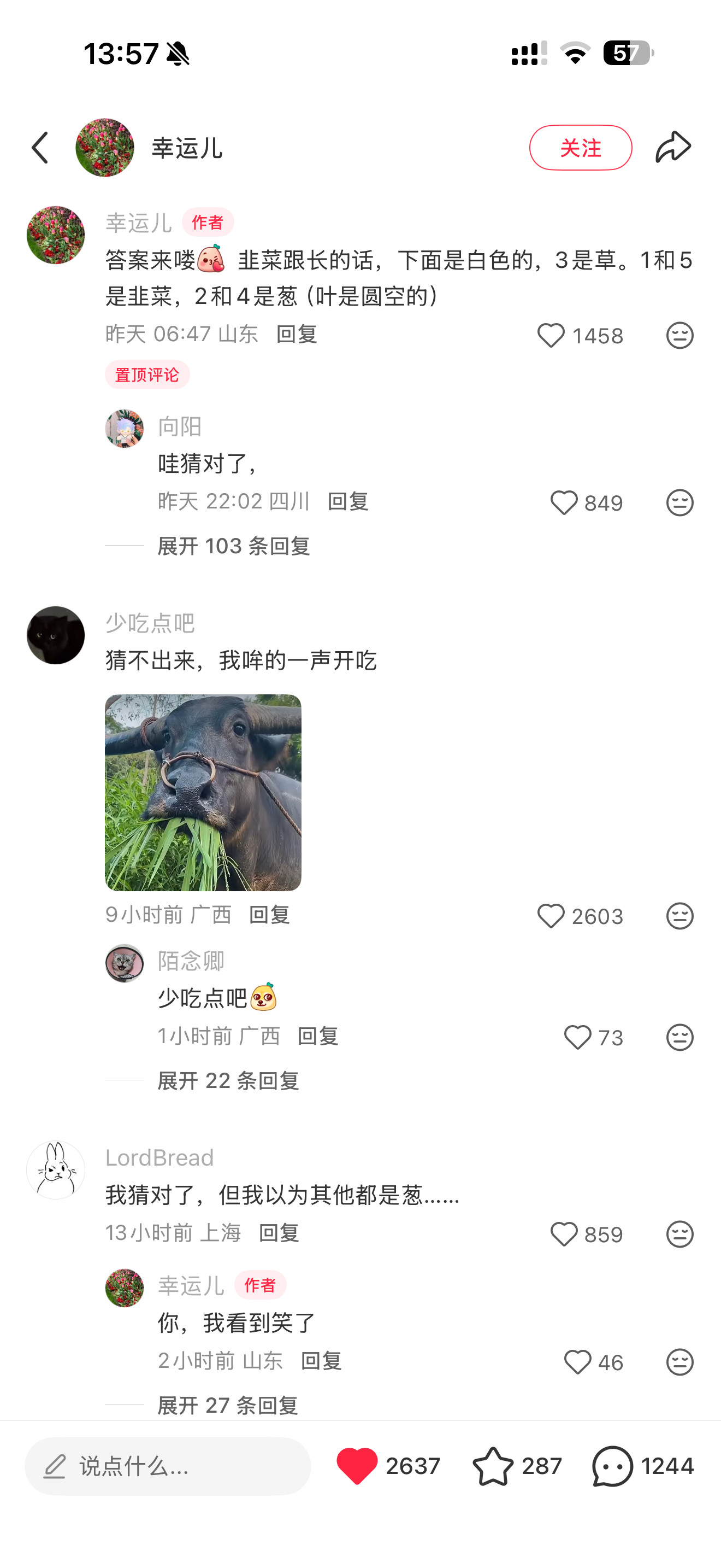 猜是猜对了，但是看起来都好像草啊哈哈哈哈哈哈哈