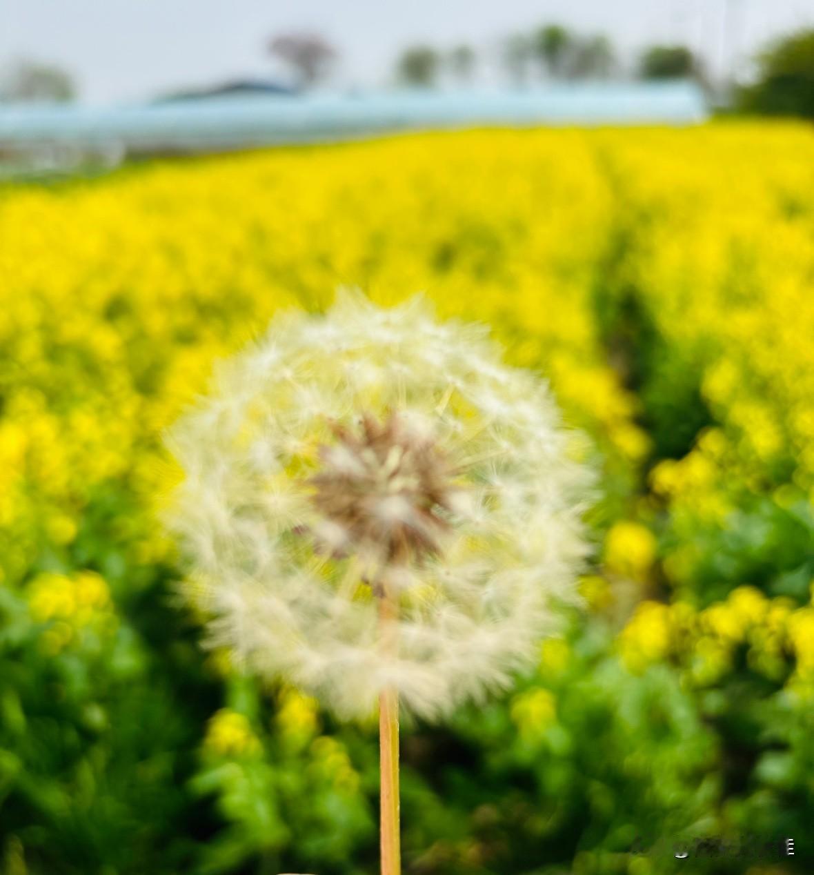 大家身边有没有这样的人！不知道大家有没有观察到咱们单位里一种很特别的