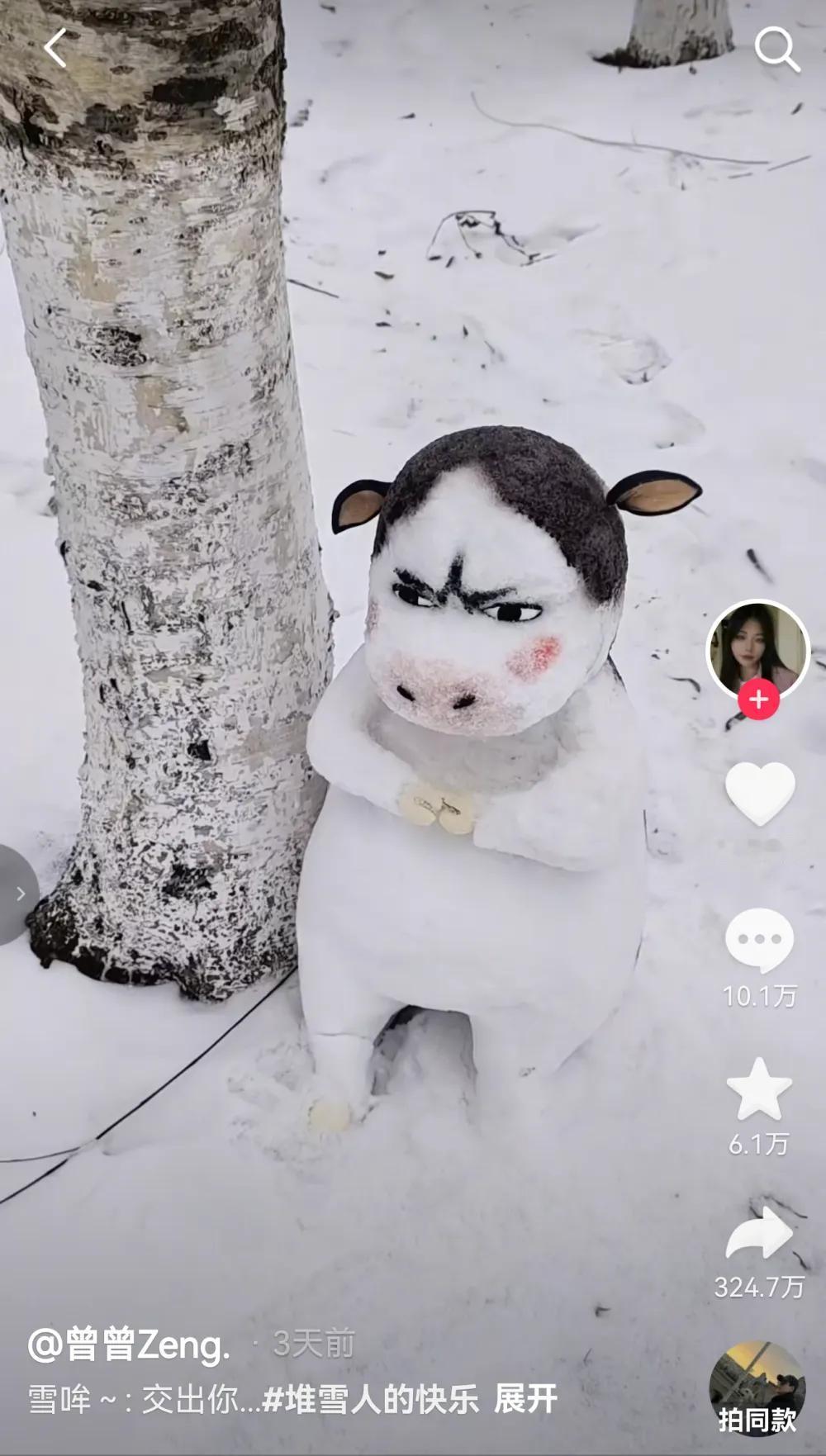 《重庆妹子东北堆“裱花雪人”》27天点赞破323万。谁能想到，零下20度的东
