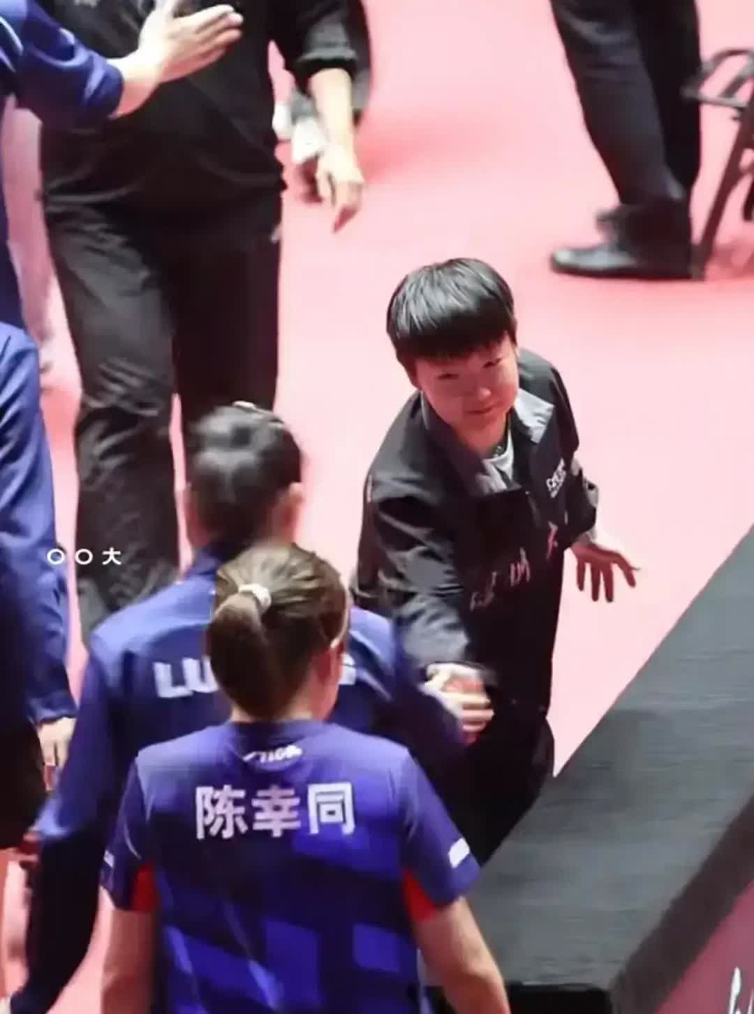 乒超联赛深圳大学这是留了一手！让头牌孙颖莎休战，派出蒯曼、平野美宇、覃予萱出