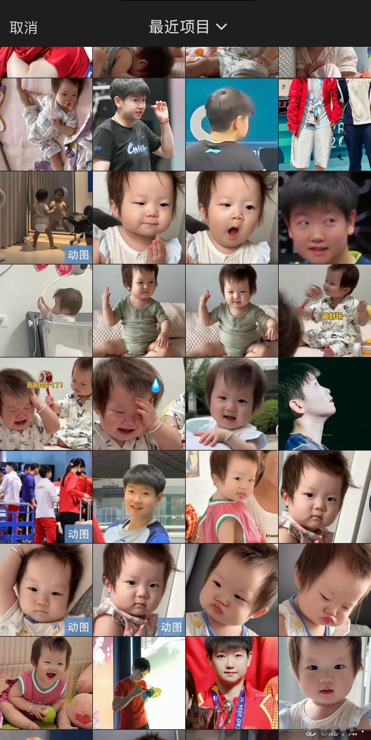 翻头像的时候发现我深深的爱过猕猴桃