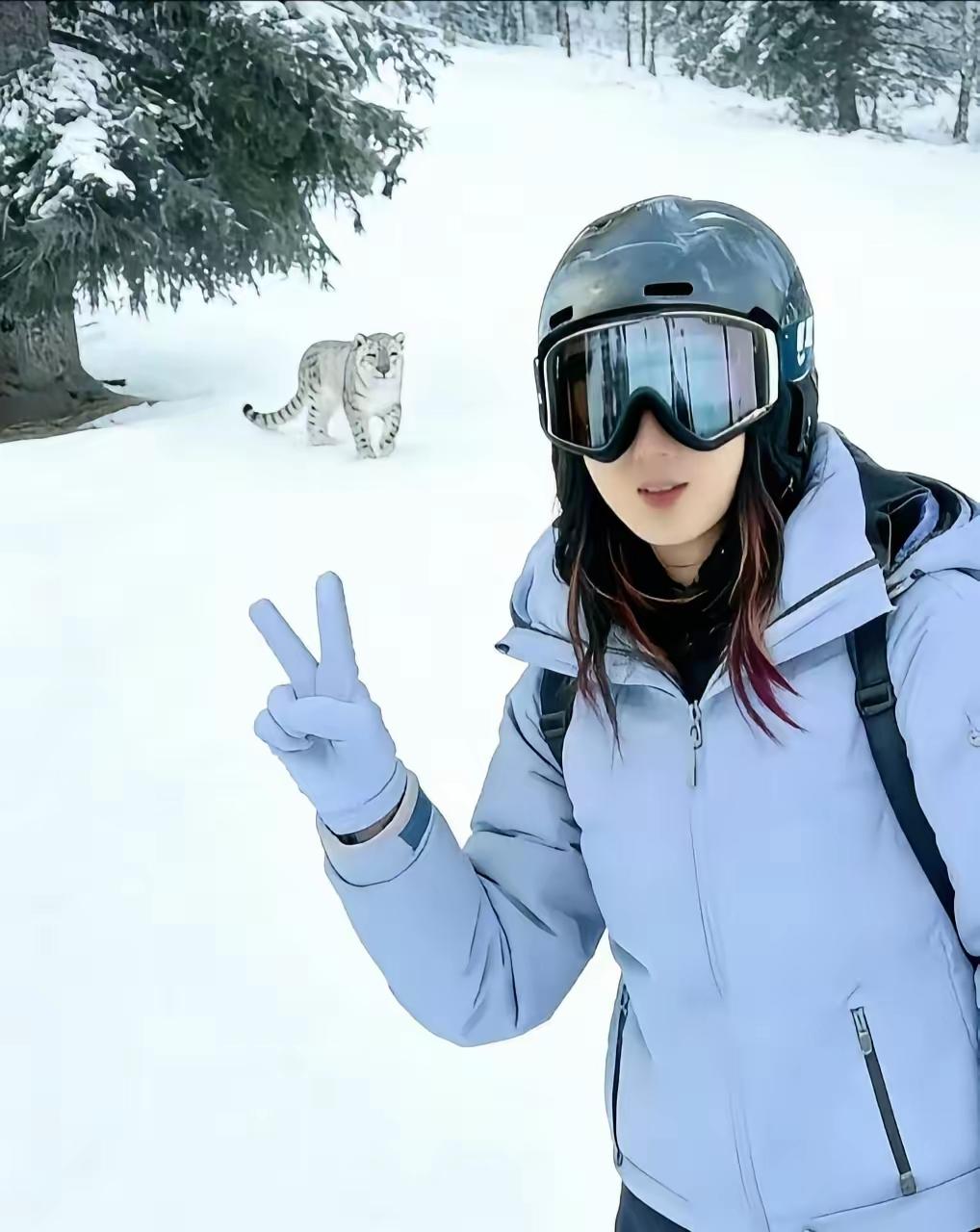 可可托海惊魂：雪豹突袭，一张合影险成遗照啊！不过目前不知道面部抓伤情况，有可能这