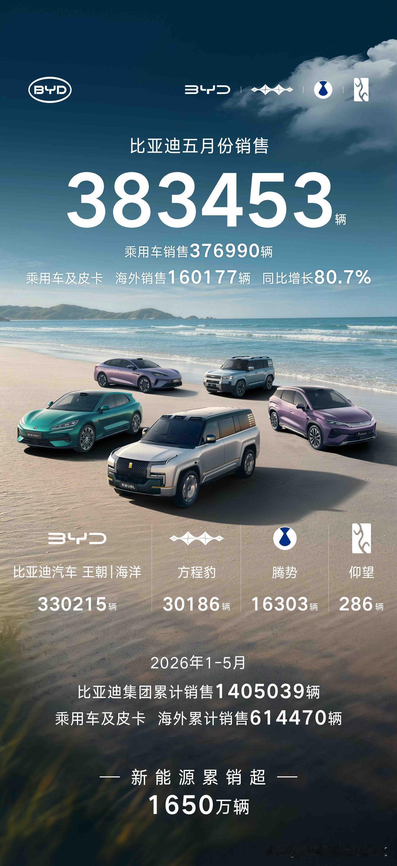 下午7点前公布新能源汽车销量数据的车企：-比亚迪：新能源乘用车共376990
