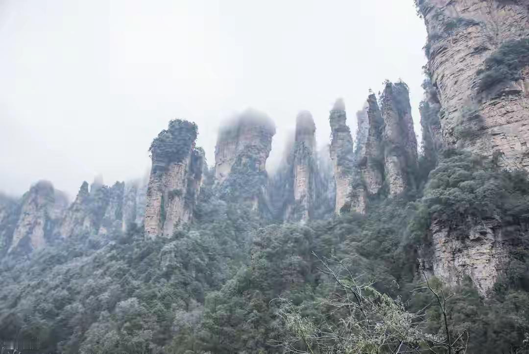 你有没有想过，张家界那些一根根的山，其实是被“吃”出来的？2010年，国际地