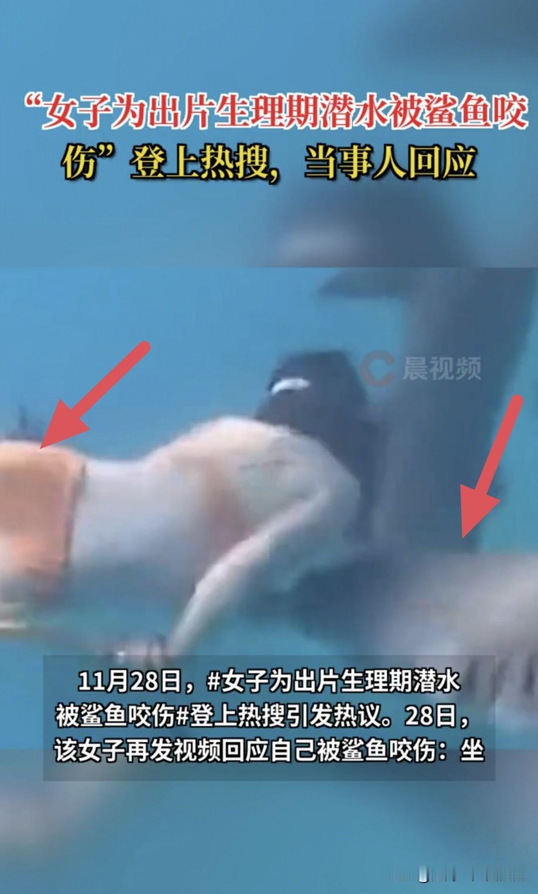 这才是真正脑子进水的女人，居然生理期潜水与鲨鱼亲密接触！第一，女人都懂，生