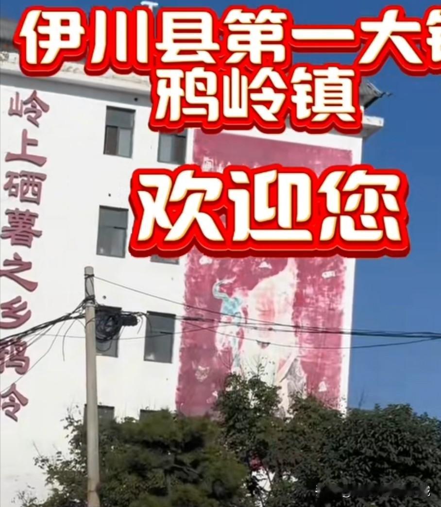 在洛阳伊川县城的西北部有个鸦岭村，即现在鸦岭镇政府所在地。这里的坡崖上长的枣刺，