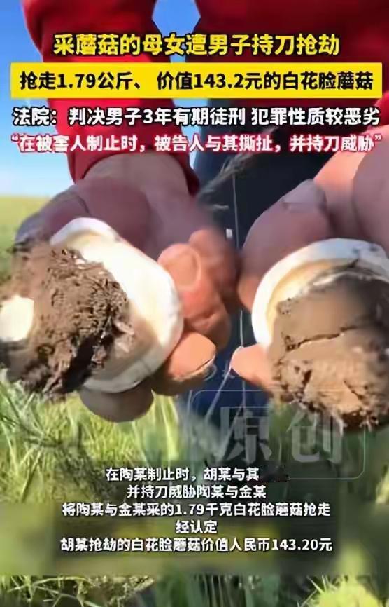 母女采蘑菇遭抢劫！1.79公斤白花脸蘑菇被抢，男子获刑3年引热议近日，一起看似