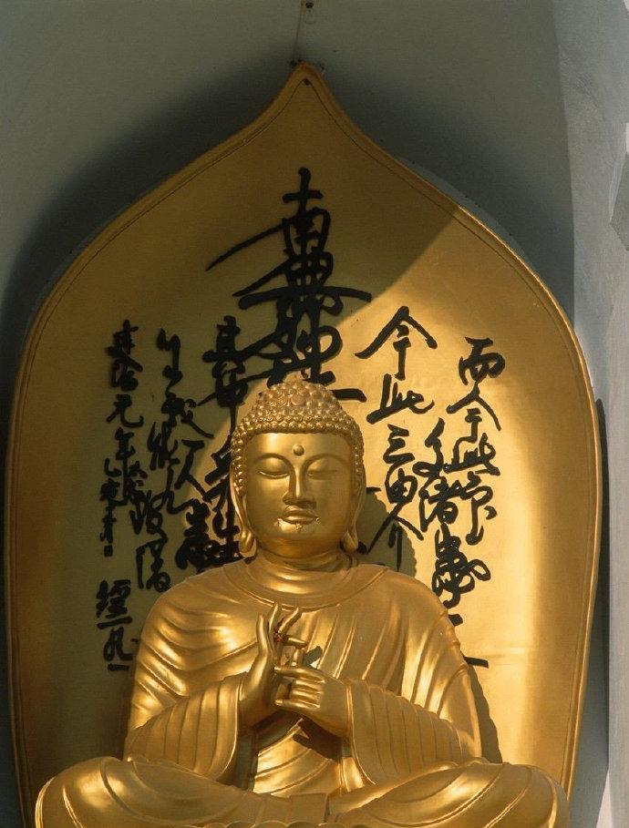 得是缘分，失是宿命，把该放的放下，心就会越来越宽，路也越来越顺。