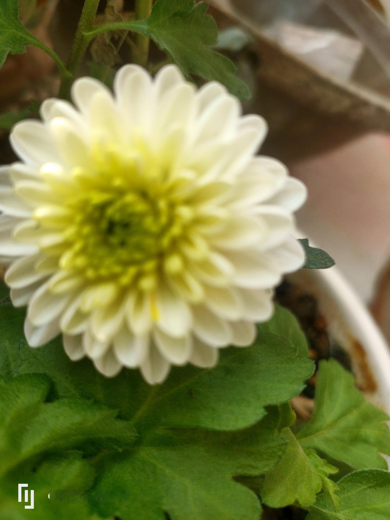 真是脑子进水了！我同事，60多岁，刚刚被人骗走2万块钱。她跟我讲，前几天逛街