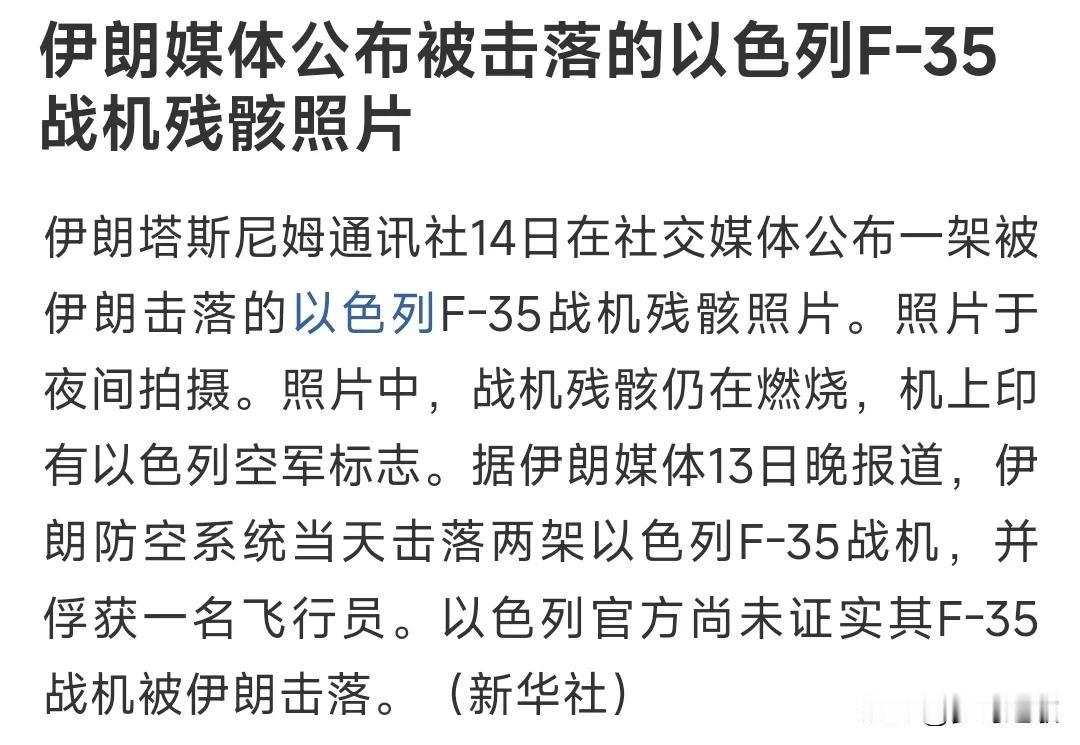F35是是被什么系统击落的？可以参考一下，为未来做准备。不过因为缺少稀土暂停生产
