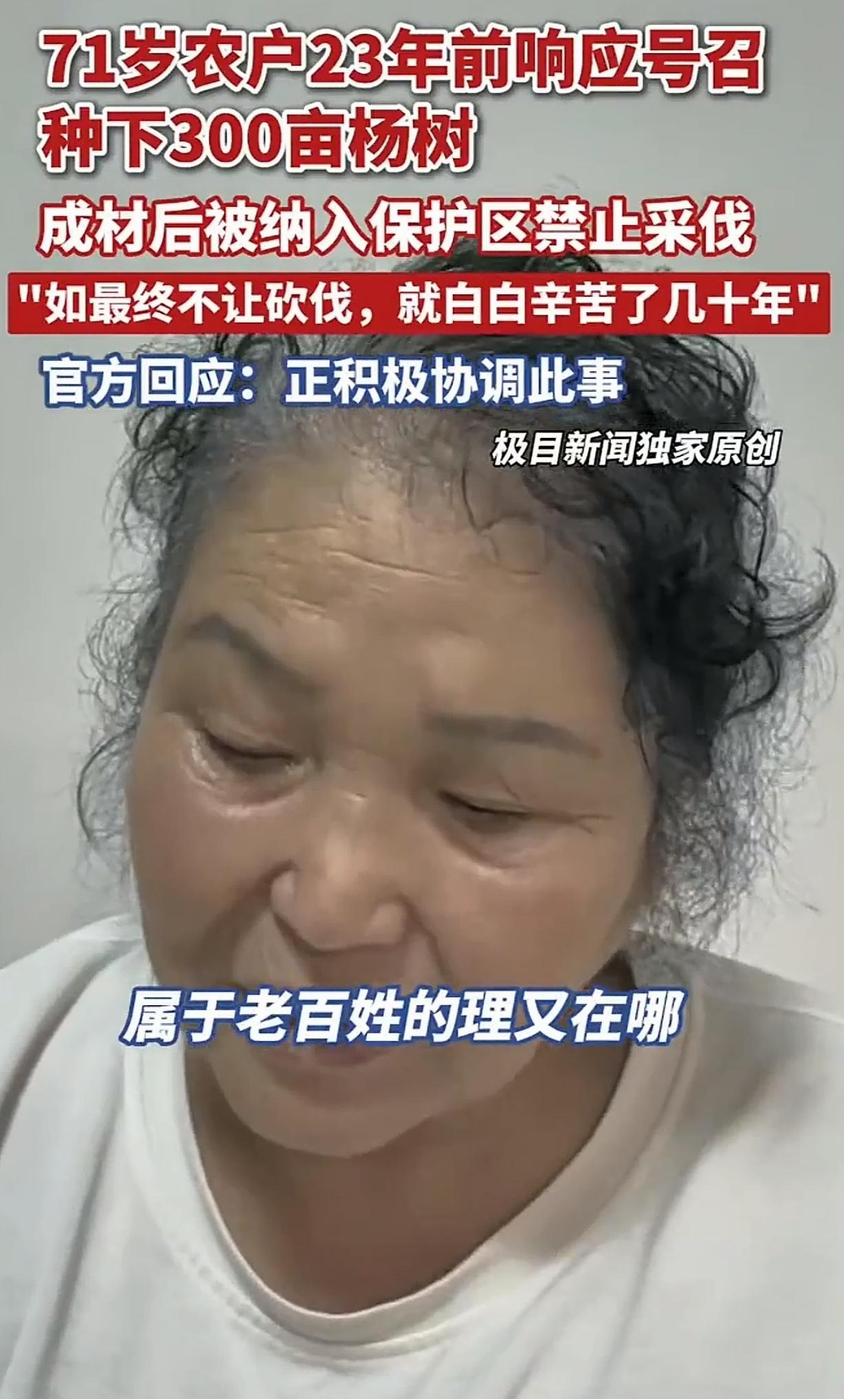 黑龙江齐齐哈尔，一71岁大妈，23年前承包了360亩地，种了3万棵手指粗的杨树，