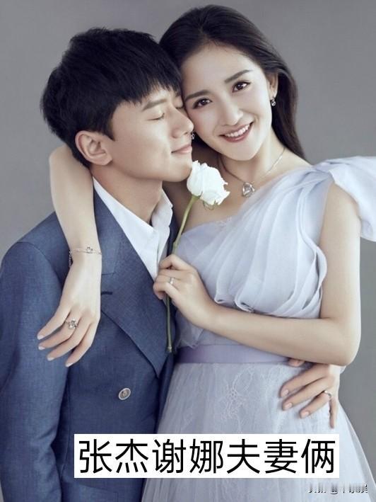 “娶了姐姐“结婚的13对明星夫妻张杰谢娜明星夫妻娱乐圈